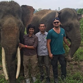 Leonardo DiCaprio, attore e ambientalista: foto 2