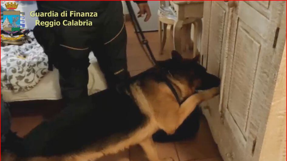 Traffico di stupefacenti: sgominata associazione a delinquere