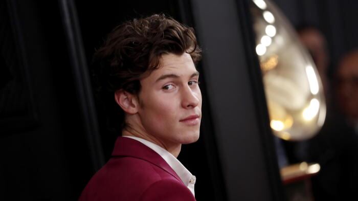 Shawn Mendes sospende il tour: "Sto male"