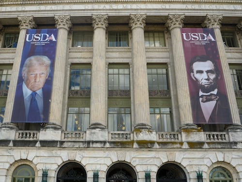 "È come un dittatore". Cosa c'è dietro lo striscione di Trump che fa impazzire i dem Usa