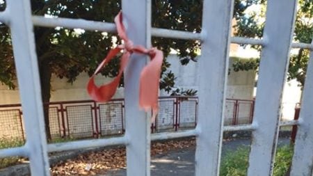 Topi all’asilo nido, l’Asl non effettua la bonifica: a rischio l’apertura della scuola