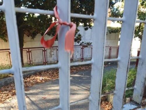 Topi all’asilo nido, l’Asl non effettua la bonifica: a rischio l’apertura della scuola