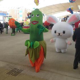 Se Expo sembra un parco divertimenti 2