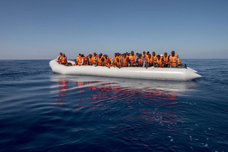 Migranti sbarcano coi gattini, il principe George e Letta: quindi, oggi...