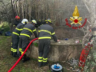 Ragazzo muore annegato nel tentativo di salvare il suo cane 2