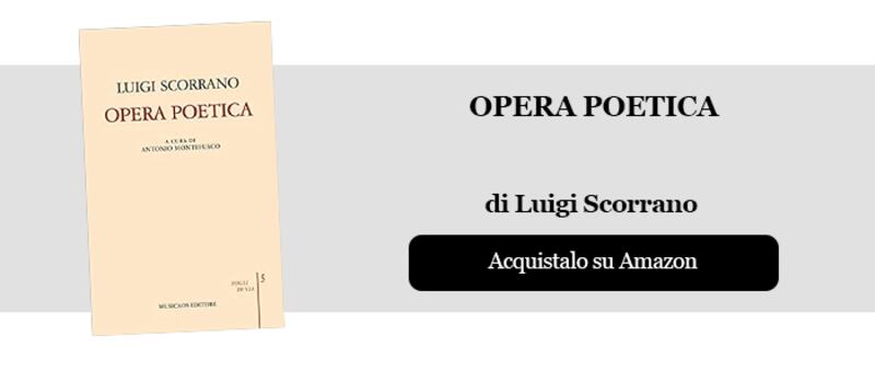 Opera poetica