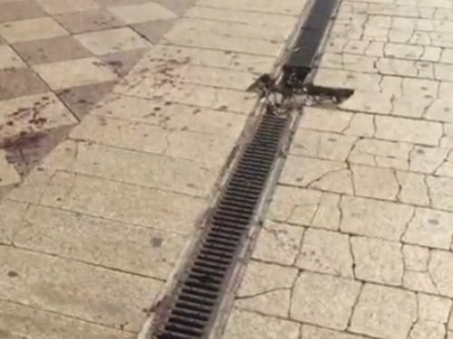 Ecco chi è l'immigrato che stava provocando una strage a Napoli