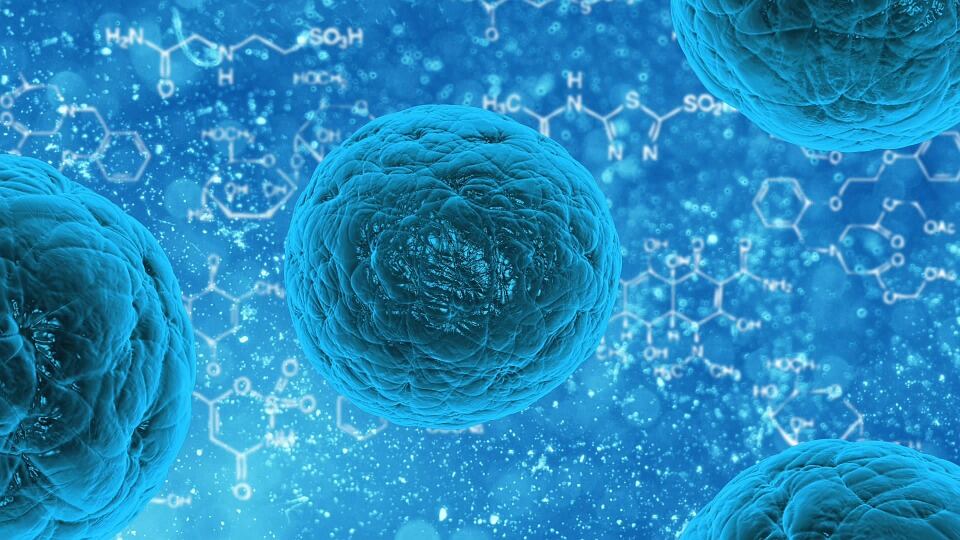 L’immunoterapia per sconfiggere il cancro