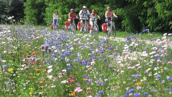 Maxi piste ciclopedonali, il turismo verde che l'Italia non sfrutta