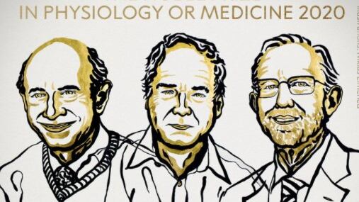 Nobel 2020, assegnato il premio per la Medicina
