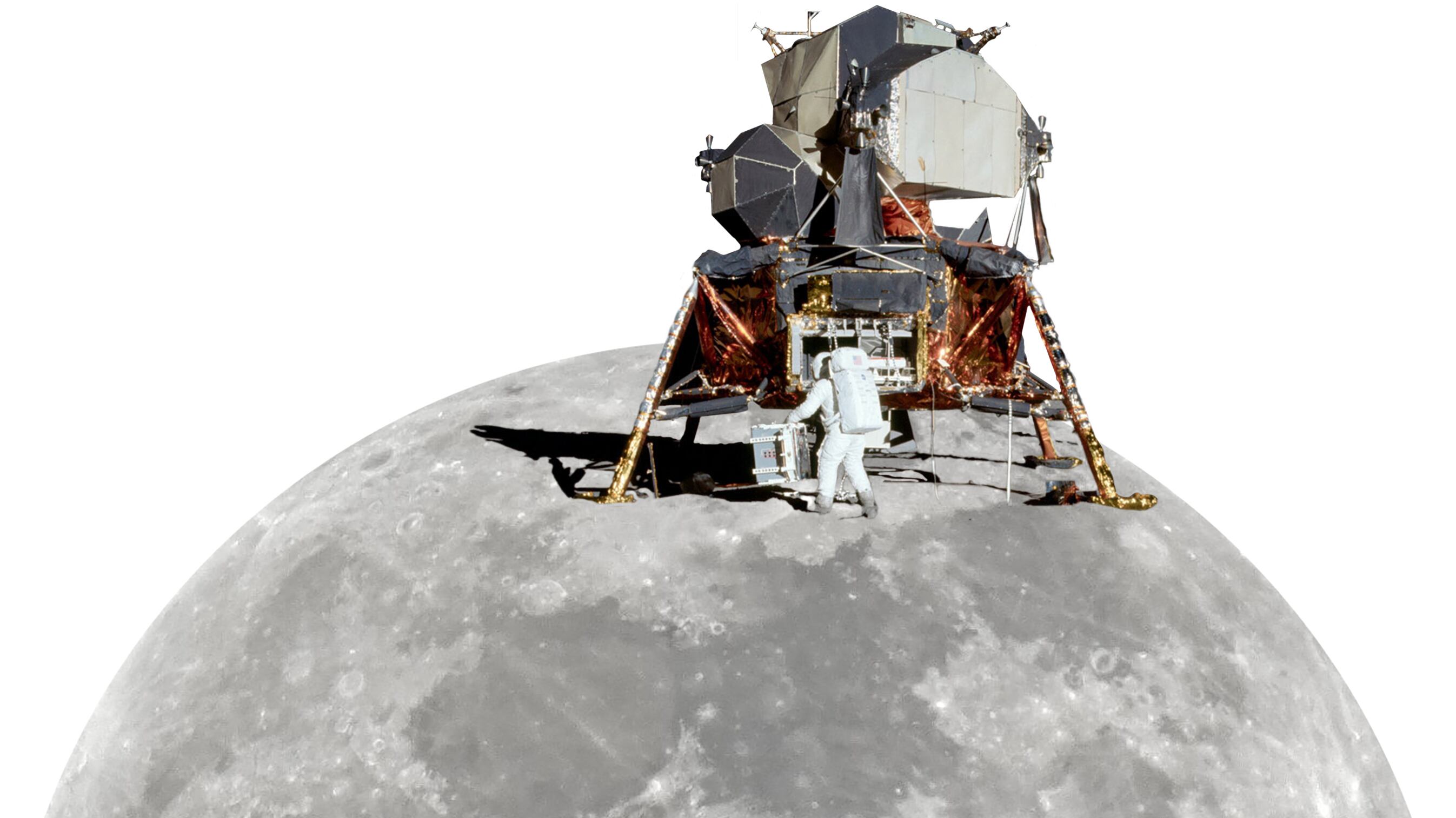 Per la borsa che porta la Luna, i prezzi sono volati alla stelle