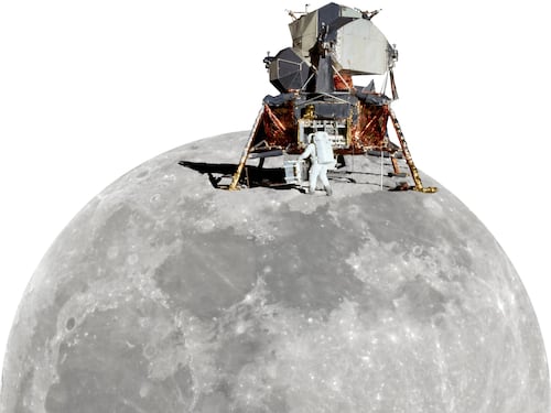 Per la borsa che porta la Luna, i prezzi sono volati alla stelle