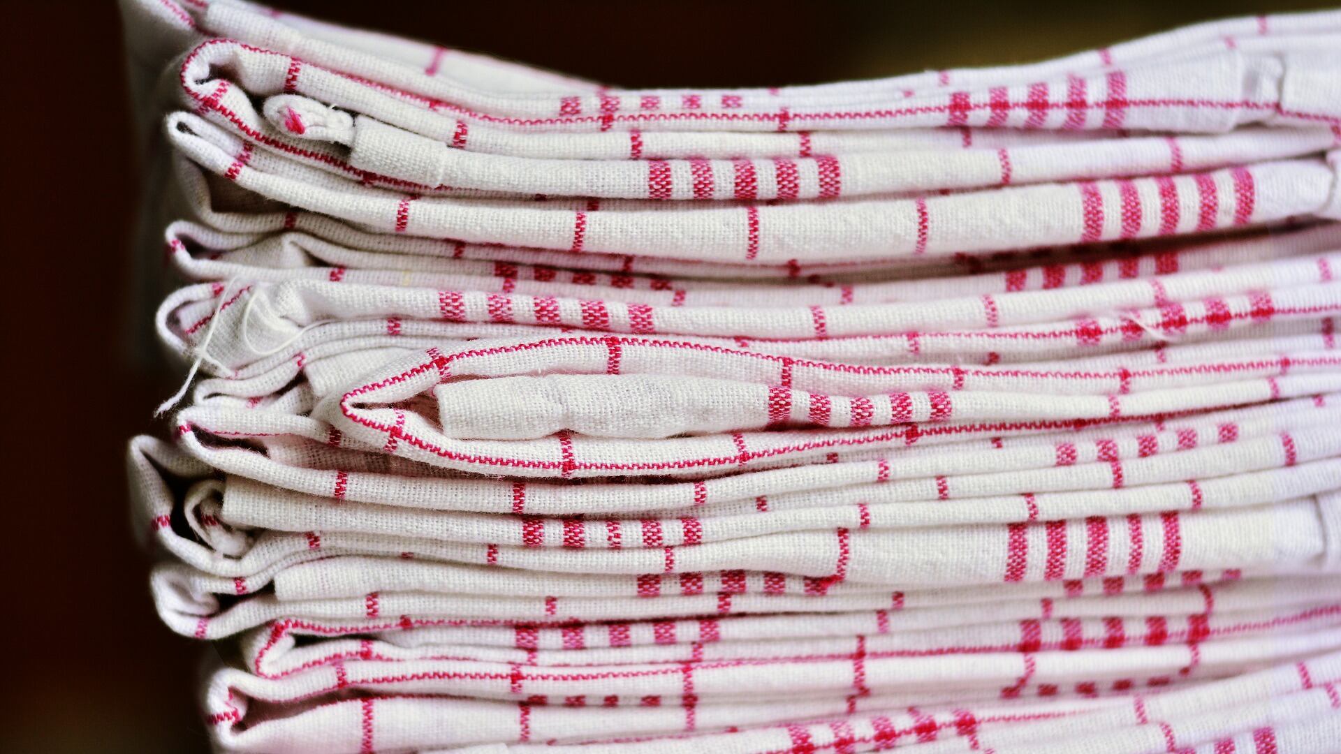 Gli strofinacci da cucina contengono batteri pericolosi