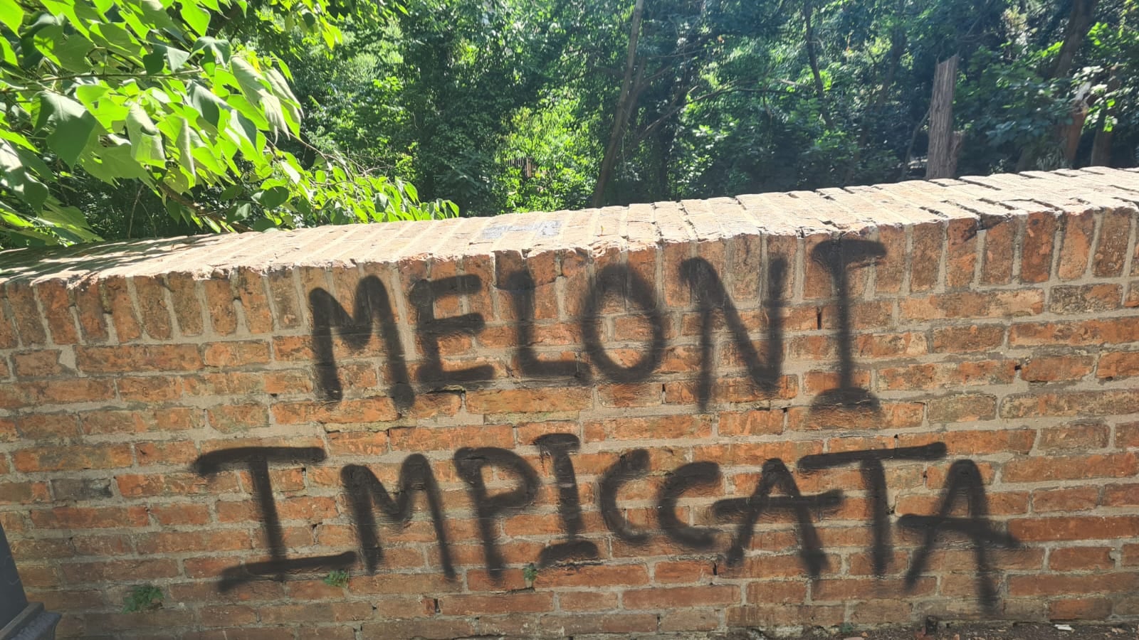 scritta meloni