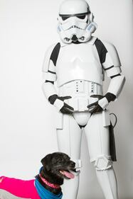 I personaggi di Star Wars per l'adozione degli animali 3