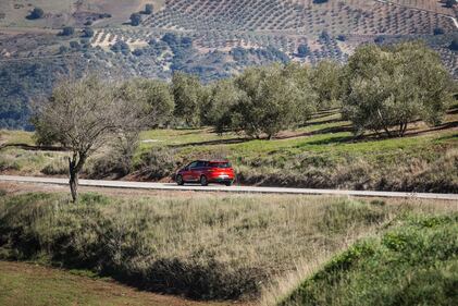 Renault Clio Sporter 10