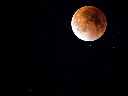 Uno spettacolo magnifico in cielo: quando e come vedere l'eclissi (parziale) di luna