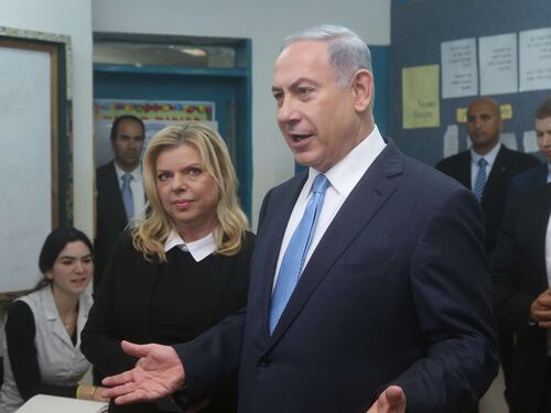 Bibi il Leone, una rimonta contro tutti