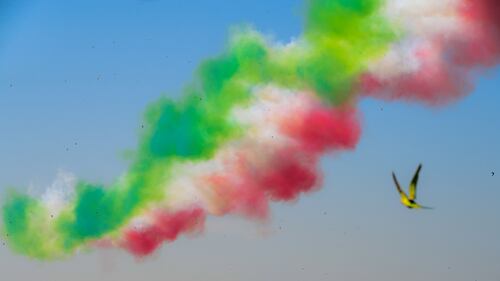 Il suggestivo spettacolo delle Frecce Tricolore  6