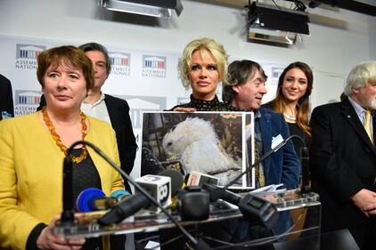 Pamela Anderson contro il foie gras 24