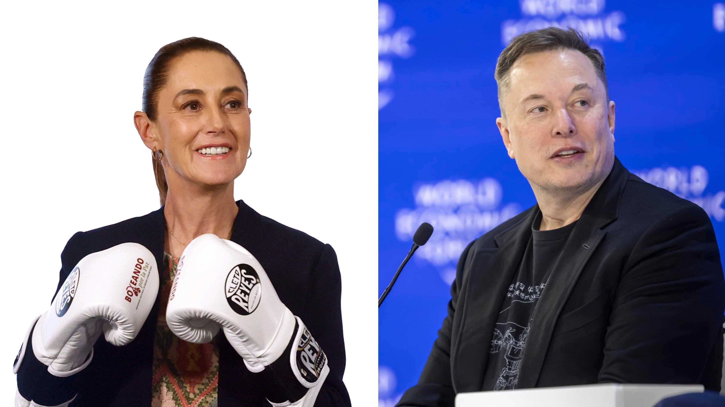 "I suoi capi del cartello...". "Azioni legali": scontro di fuoco tra Musk e il presidente del Messico Sheinbaum