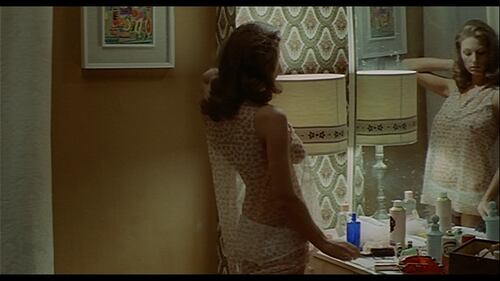 Il cinema di Dario Argento 29