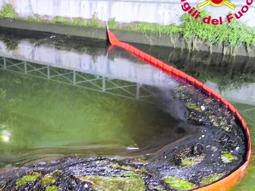 Sversamento doloso nel Naviglio. Si cerca il tombino dello scarico