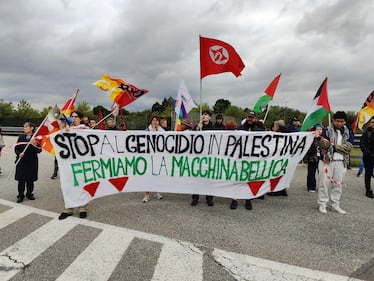 Manifestazione pro-Pal a Malpensa 5