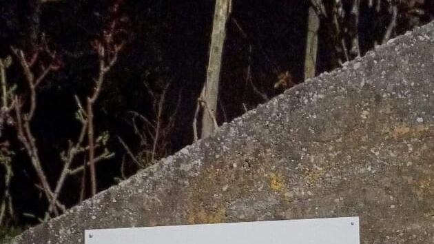 Svastiche su muri e insegna del resort dello chef Cannavacciuolo