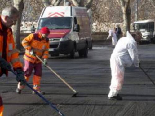 Roma, l'emergenza del guano e il rischio tbc