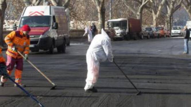Roma, l'emergenza del guano e il rischio tbc