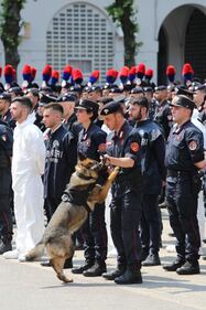 L'Arma dei carabinieri compie 205 anni 9