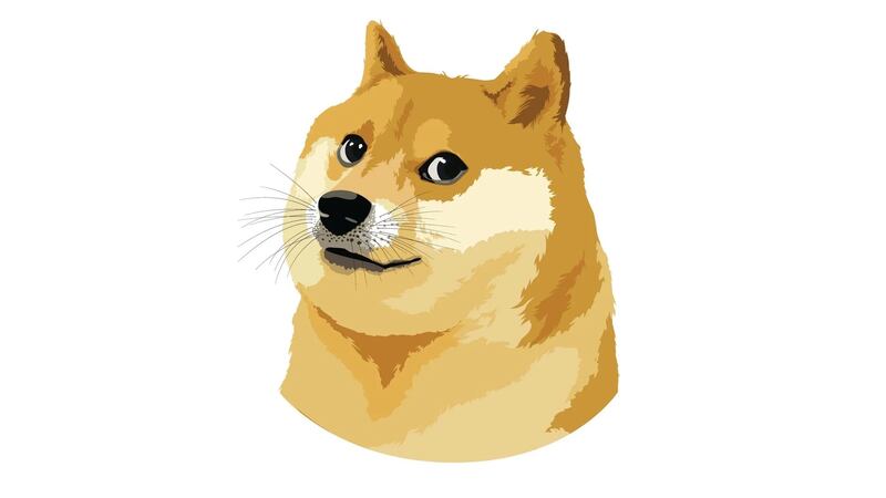 Il "doge", logo della criptovaluta Dogecoin che ora ha preso il posto del bluebird di Twitter