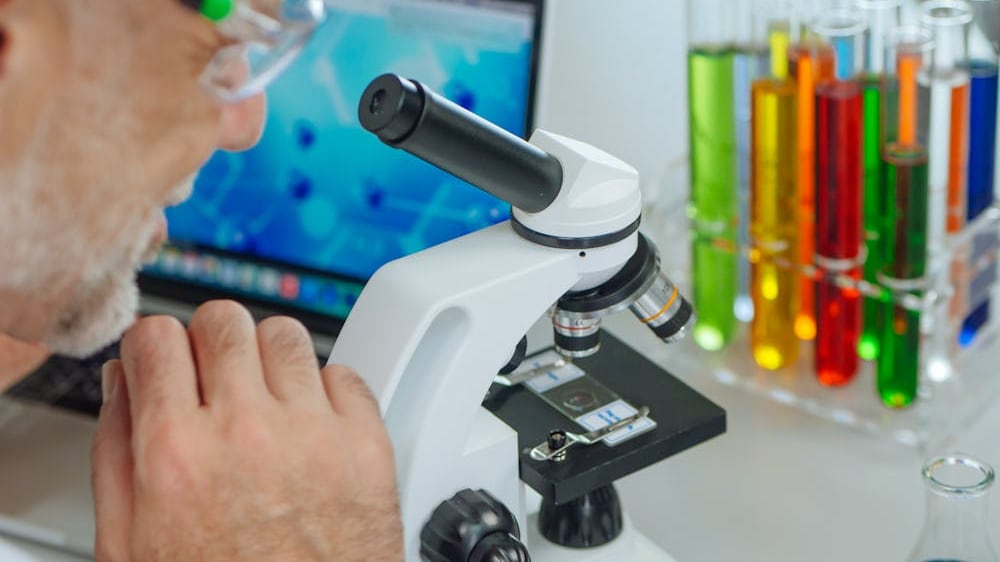 L’identikit del tumore al pancreas: scoperta un’importante connessione con il sistema nervoso