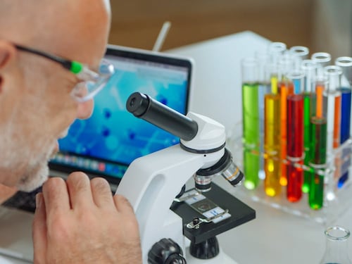 L’identikit del tumore al pancreas: scoperta un’importante connessione con il sistema nervoso