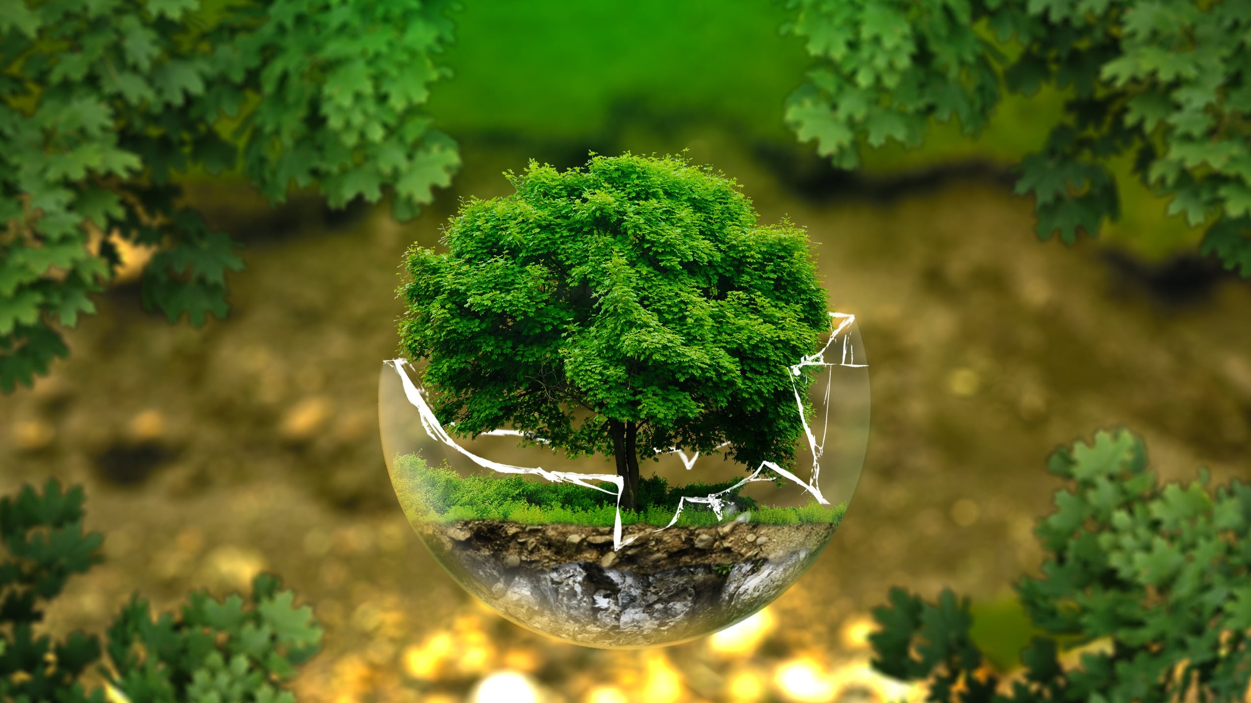 Green jobs, la spinta dei lavori "verdi" legati alla transizione