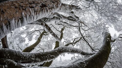 Germania, la neve sul Großer Feldberg 1