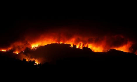 Incendio in Portogallo: 58 morti 11