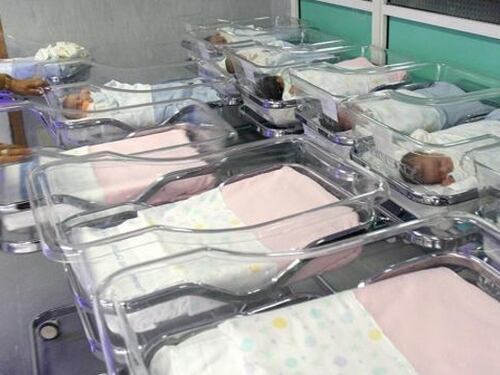 Figlio denuncia genitori: "Mi hanno fatto nascere senza mio consenso"