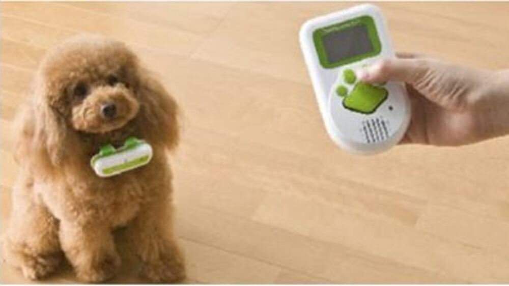 Chiacchieri con Fido? Ti ascolterà soltanto se l'argomento è lui