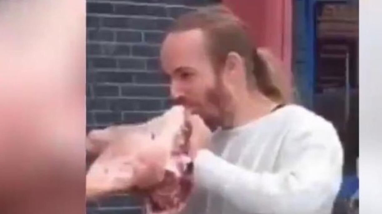 Mangiano testa di maiale (cruda) contro il corteo di vegani