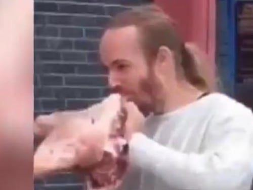 Mangiano testa di maiale (cruda) contro il corteo di vegani