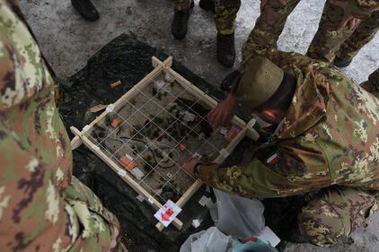 Ice Patrol, l'esercitazione delle truppe alpine dell'Esercito 2