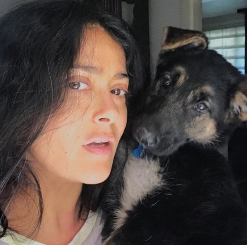 Salma Hayek  6