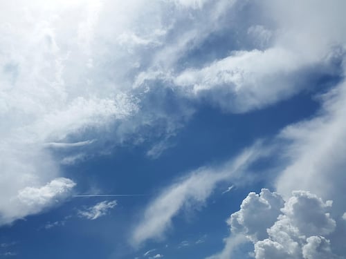 Arrivano i 20 gradi. Ecco dove la primavera sarà in anticipo