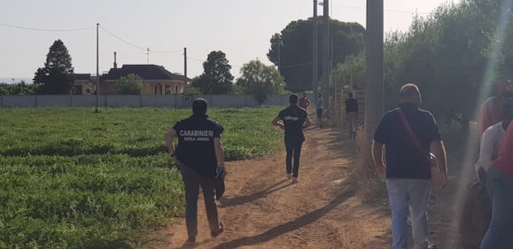 Puglia, le vite dei braccianti nelle mani dei caporali 9