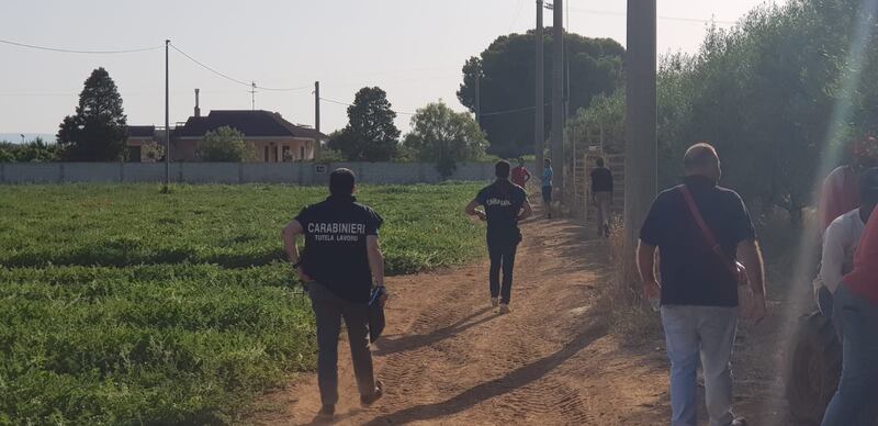 Puglia, le vite dei braccianti nelle mani dei caporali 9