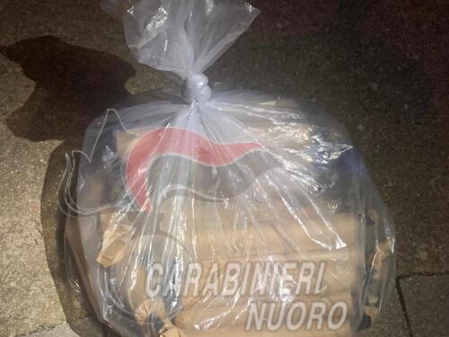 180 feriti, amputazioni, arresti: il report choc sul Capodanno