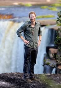 Principe Harry e Meghan Markle: immagini 5