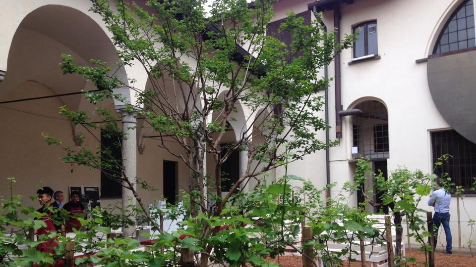 Nel centro di Milano spuntano i vigneti: è "Milano Wine Garden"